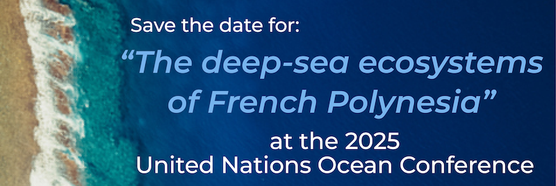 unoc3 deep sea ecosystems